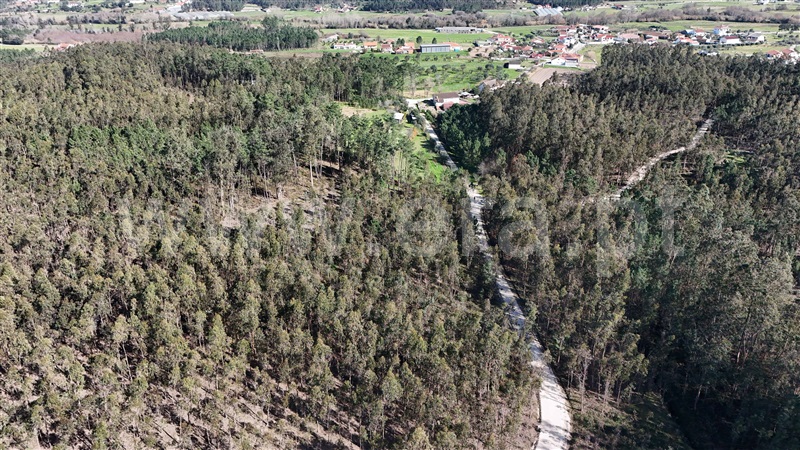 Terreno Rústico  Pombal, Louriçal - 1459226 - 2