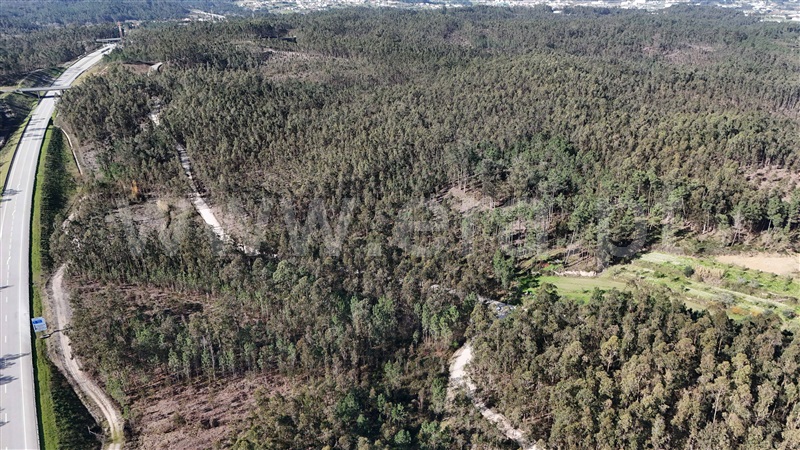 Terreno Rústico  Pombal, Louriçal - 1459226 - 10