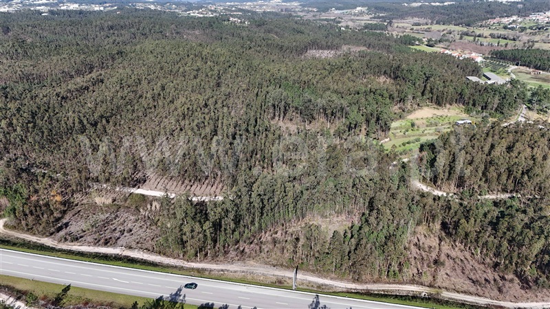 Terreno Rústico  Pombal, Louriçal - 1459226 - 11