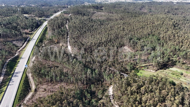 Terreno Rústico  Pombal, Louriçal - 1459226 - 14
