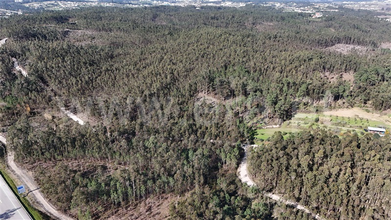 Terreno Rústico  Pombal, Louriçal - 1459226 - 17