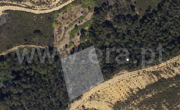 Terreno Rústico / Ponte de Lima, Cabração