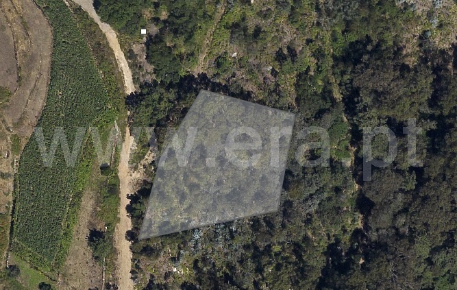 Terreno Rústico / Ponte de Lima, Cabração