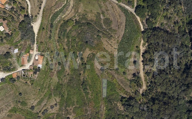 Terreno Rústico  Ponte de Lima, Cabração - 1501963 - 1