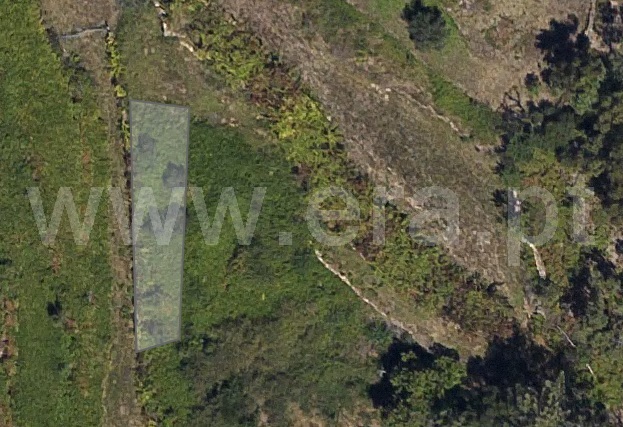 Terreno Rústico / Ponte de Lima, Cabração