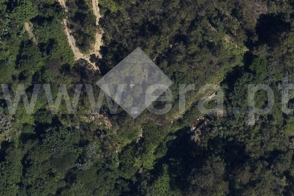 Terreno Rústico / Ponte de Lima, Cabração