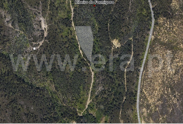 Terreno Rústico / Ponte de Lima, Cabração