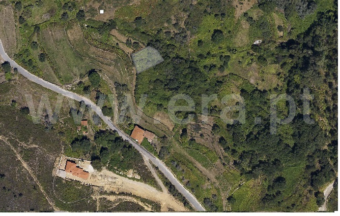 Terreno Rústico / Ponte de Lima, Cabração