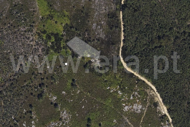 Terreno Rústico  Ponte de Lima, Cabração - 1501997 - 4