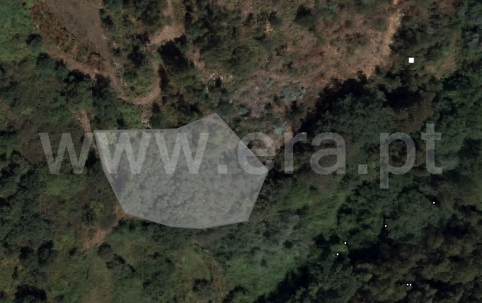 Terreno Rústico / Ponte de Lima, Cabração
