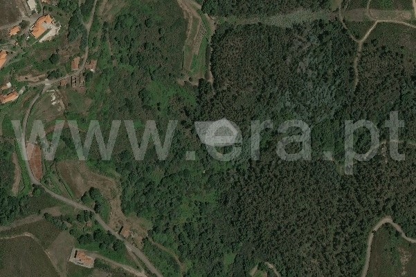 Terreno Rústico  Ponte de Lima, Cabração - 1502000 - 3