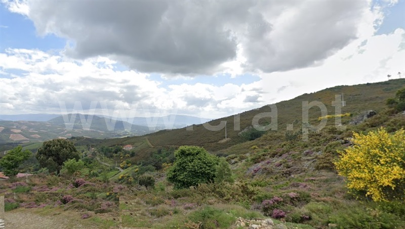 Terreno Rústico  Ponte de Lima, Cabração - 1502002 - 4
