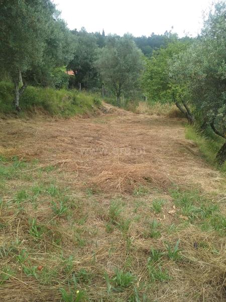 Terreno Rústico / Ponte de Lima, Calheiros
