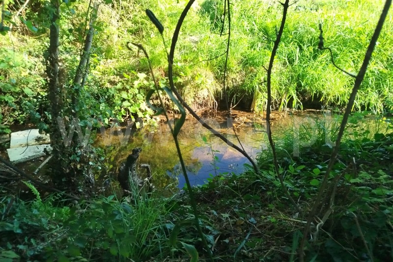 Terreno Rústico  Ponte de Lima, Estorãos - 1501934 - 1