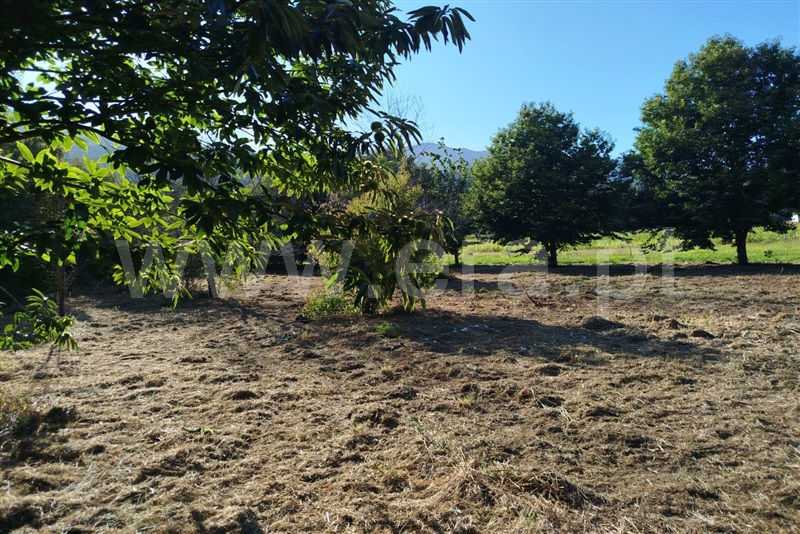 Terreno Rústico  Ponte de Lima, Estorãos - 1501934 - 2