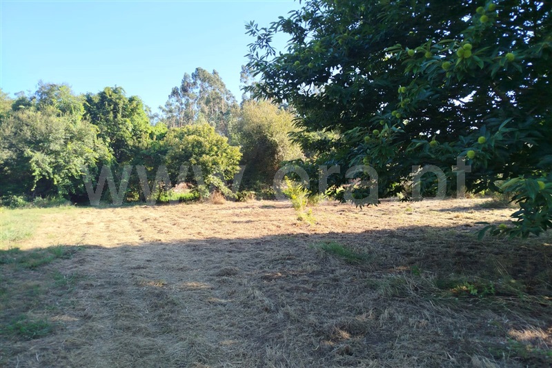 Terreno Rústico  Ponte de Lima, Estorãos - 1501934 - 4