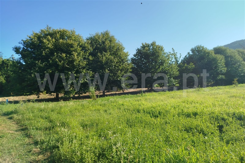 Terreno Rústico  Ponte de Lima, Estorãos - 1501934 - 6