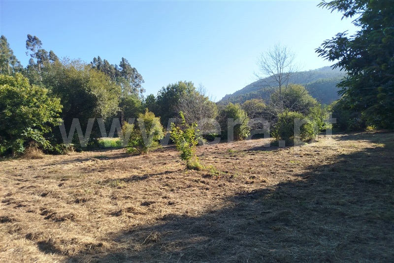 Terreno Rústico  Ponte de Lima, Estorãos - 1501934 - 7