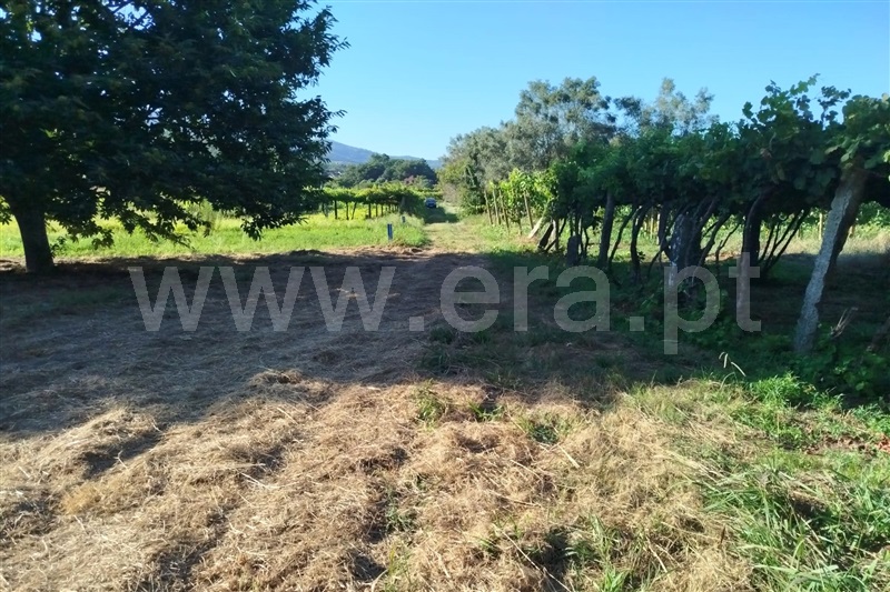 Terreno Rústico  Ponte de Lima, Estorãos - 1501934 - 8