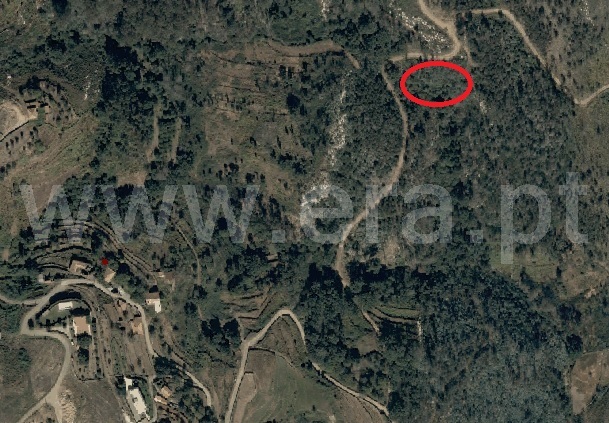 Terreno Rústico  Ponte de Lima, Estorãos - 1501953 - 3