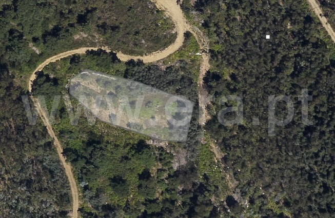 Terreno Rústico / Ponte de Lima, Estorãos