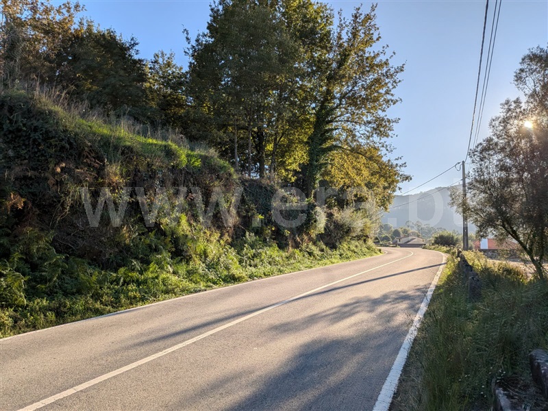 Terreno Rústico / Ponte de Lima, Facha