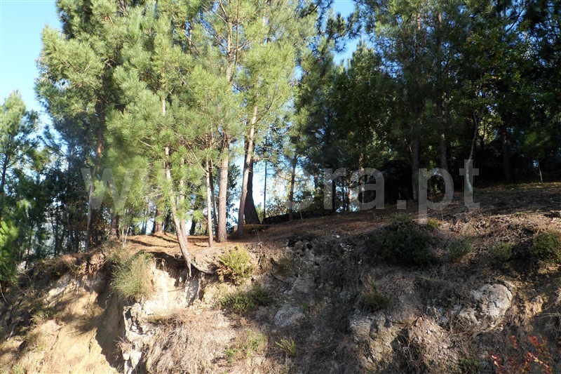 Terreno Rústico  Ponte de Lima, Gemieira - 870994 - 2