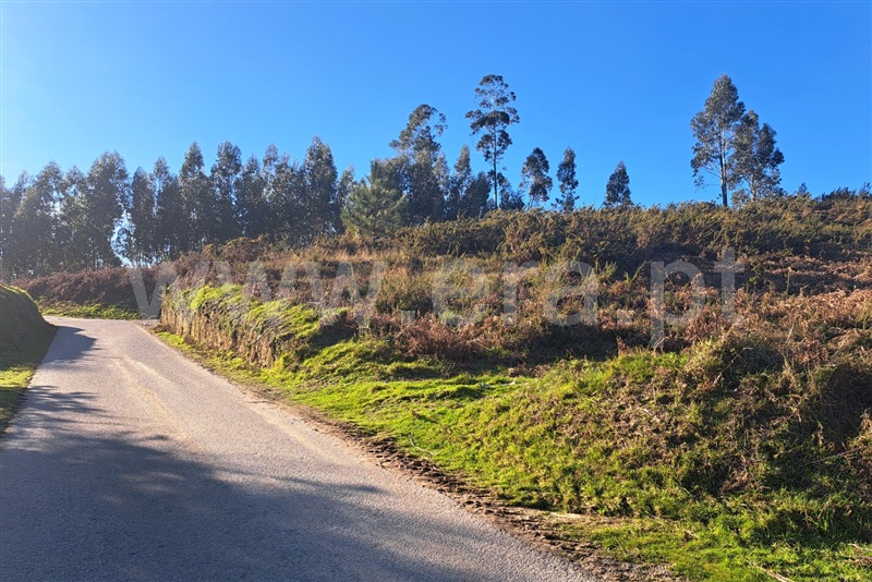 Terreno Rústico  Ponte de Lima, Gondufe - 1460116 - 7