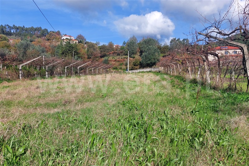 Terreno Rústico / Ponte de Lima, Labruja