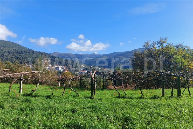 Terreno Rústico / Ponte de Lima, Labruja