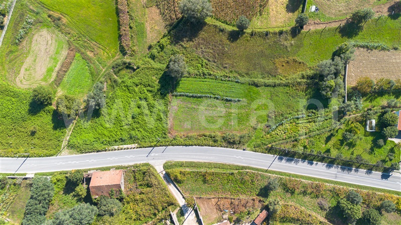 Terreno Rústico  Ponte de Lima, Navió e Vitorino dos Piães - 1508056 - 3
