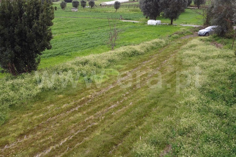 Terreno Rústico  Ponte de Lima, Poiares - 1463079 - 9