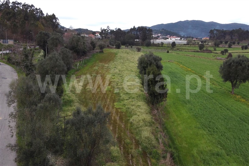 Terreno Rústico  Ponte de Lima, Poiares - 1463079 - 12