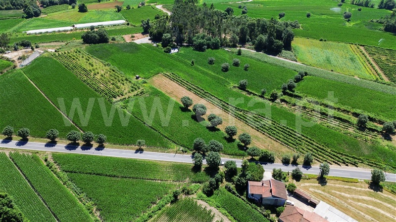 Terreno Rústico  Ponte de Lima, Poiares - 1494698 - 2