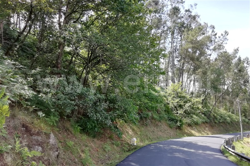 Terreno Rústico / Ponte de Lima, Rebordões Santa Maria