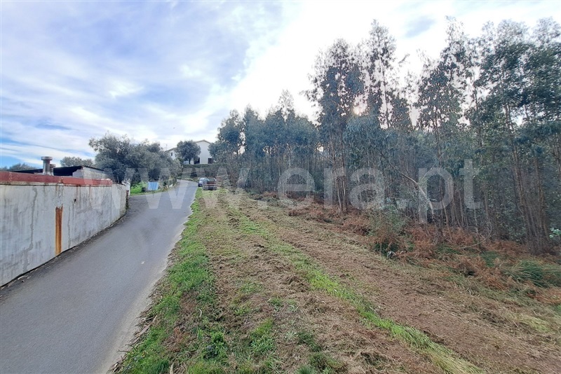 Terreno Rústico  Ponte de Lima, Rebordões Santa Maria - 1458690 - 2