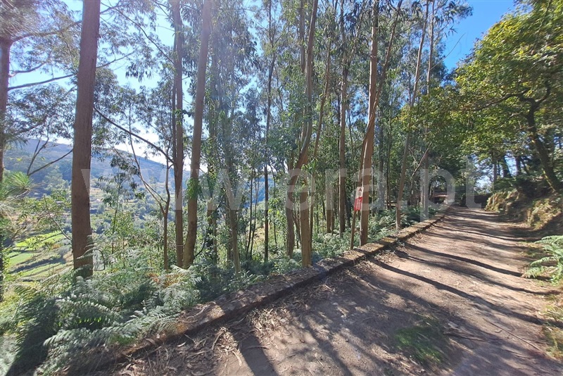 Terreno Rústico / Ponte de Lima, Vilar do Monte