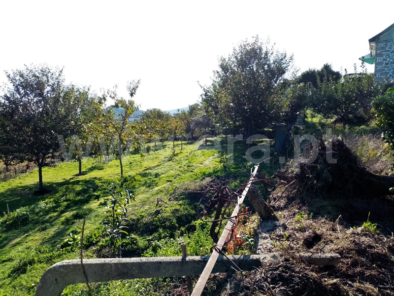 Terreno Rústico  Ponte de Lima, Vitorino dos Piães - 1129966 - 5