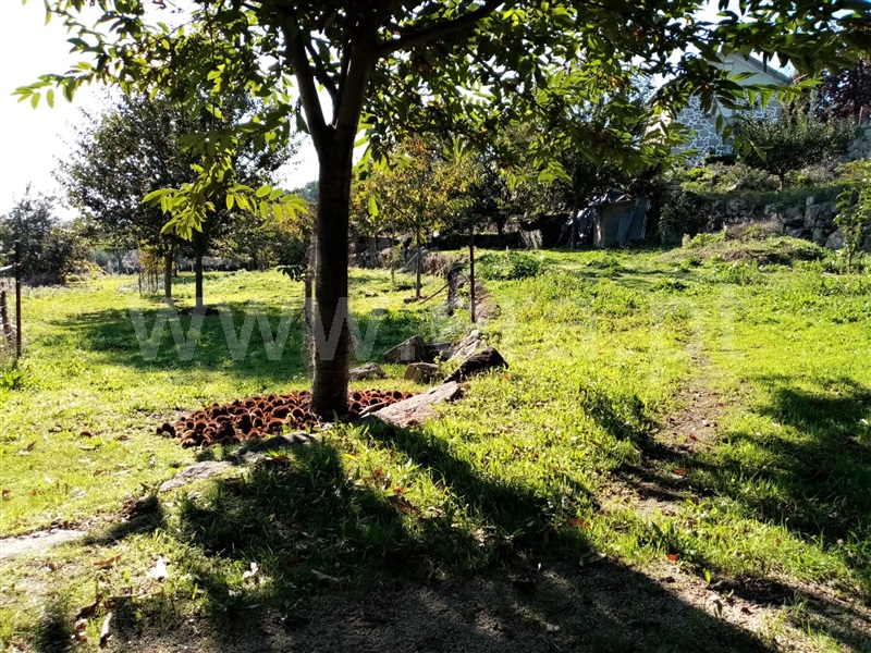 Terreno Rústico  Ponte de Lima, Vitorino dos Piães - 1129966 - 4