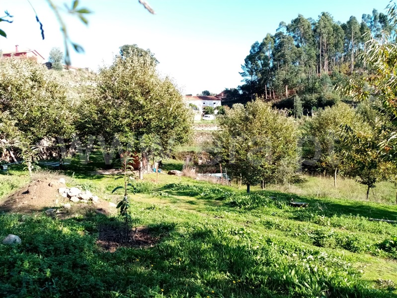 Terreno Rústico  Ponte de Lima, Vitorino dos Piães - 1129966 - 7