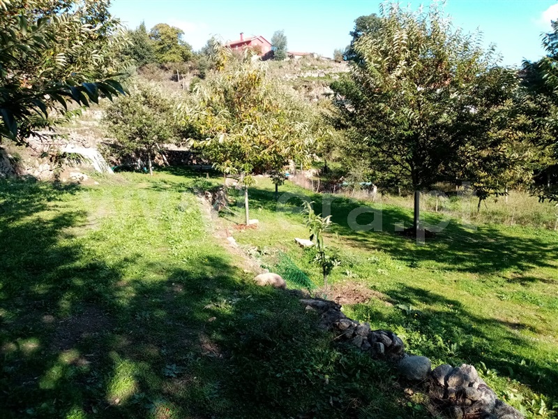 Terreno Rústico  Ponte de Lima, Vitorino dos Piães - 1129966 - 9
