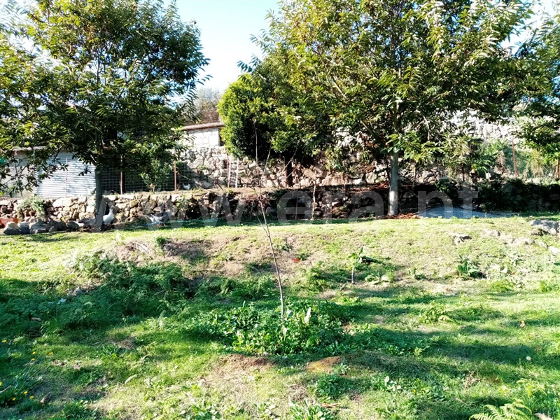 Terreno Rústico  Ponte de Lima, Vitorino dos Piães - 1129966 - 10