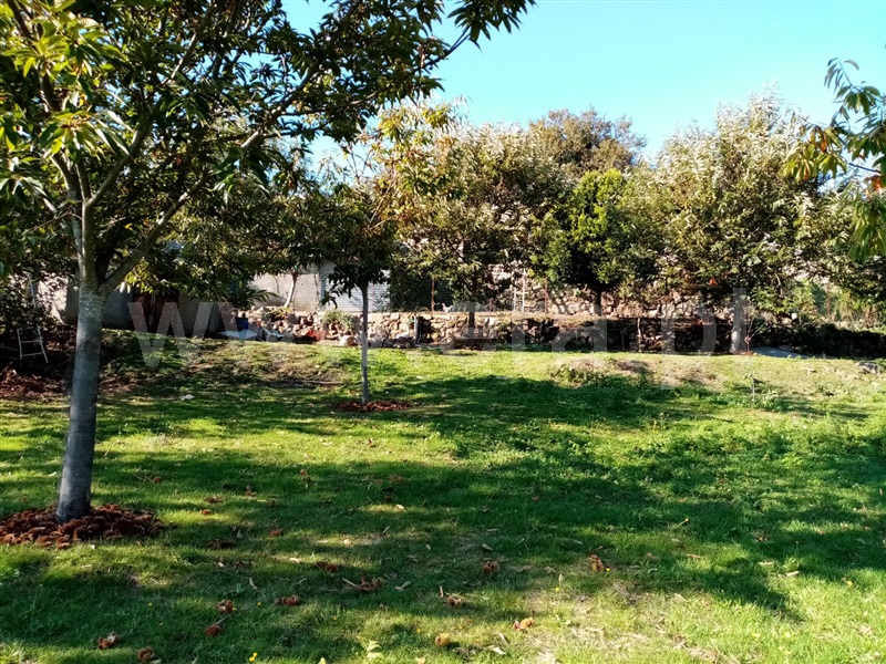 Terreno Rústico  Ponte de Lima, Vitorino dos Piães - 1129966 - 11