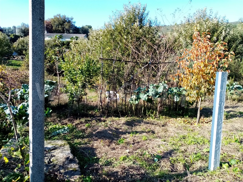 Terreno Rústico  Ponte de Lima, Vitorino dos Piães - 1129973 - 2