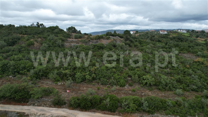 Terreno Rústico / Porto de Mós, Alqueidão da Serra
