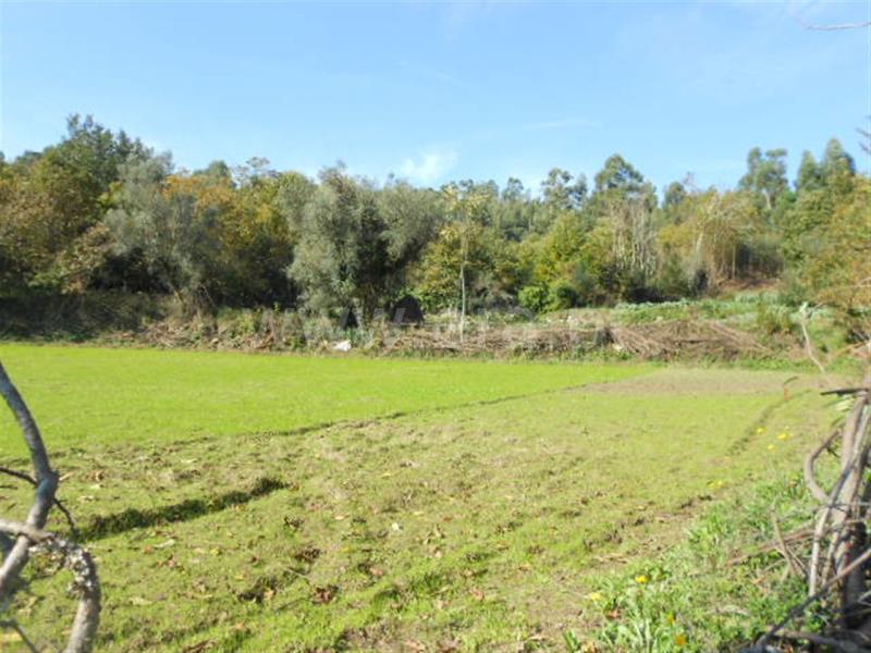 Terreno Rústico  Póvoa de Lanhoso, Campos e Louredo - 493067 - 2