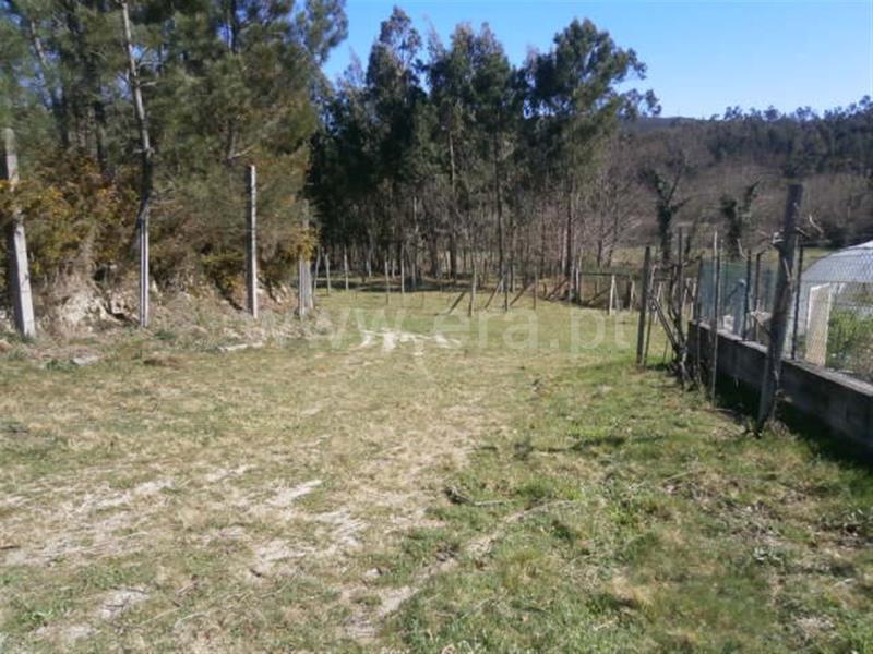 Terreno Rústico / Póvoa de Lanhoso, Frades
