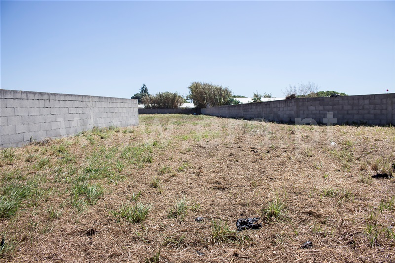 Terreno Rústico  Póvoa de Varzim, Aguçadoura - 1260641 - 4
