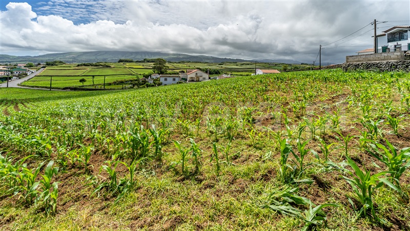 Terreno Rústico  Praia da Vitória, Praia da Vitória (Santa Cruz) - 1412553 - 3