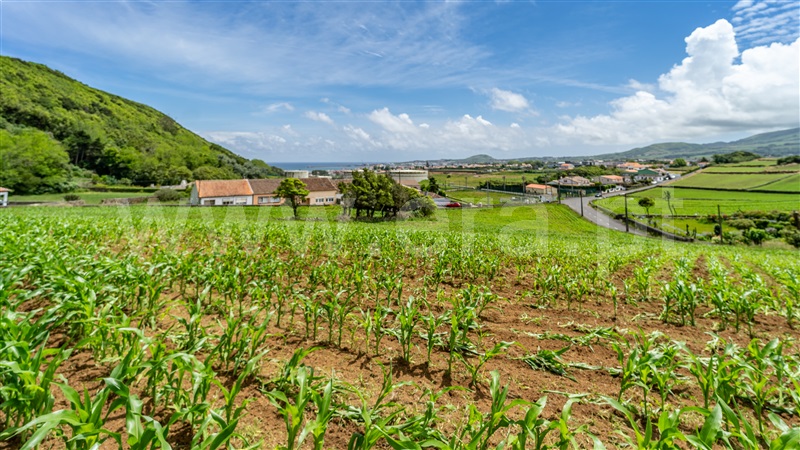 Terreno Rústico  Praia da Vitória, Praia da Vitória (Santa Cruz) - 1412553 - 4